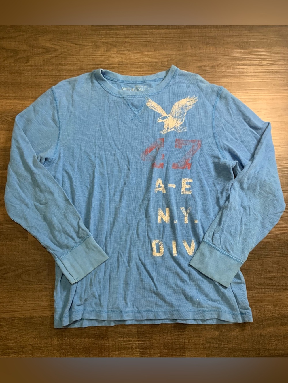 American Eagle Outfitters Sky Blue Graphic Long Sleeve Tee